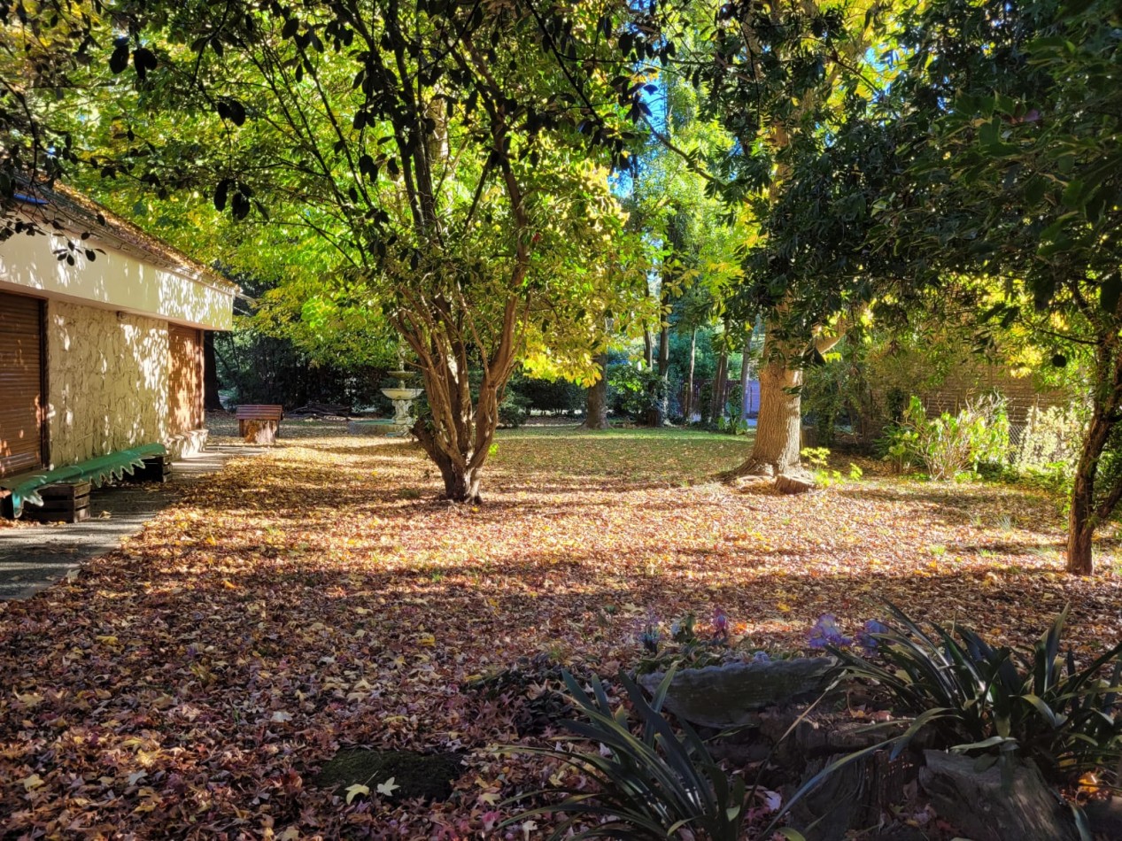 Importante propiedad Bosque Peralta Ramos-
